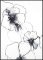 Bloemlijn 1 | Poster