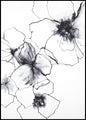 Bloemenlijn 2 | POSTERBORD