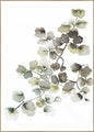 Waterplanten 1 | POSTERBORD