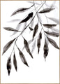 Waterplanten 3 | POSTERBORD