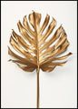 Monstera bladgoud | POSTERBORD