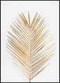 Palmblad Goud | POSTERBORD