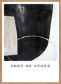 Soort steen | BEELDENDE KUNST
